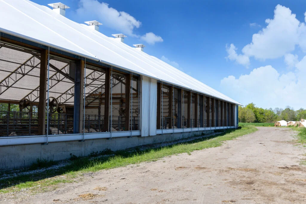 Clear Span Fabric Goat Shelters for Smooth Daily Work