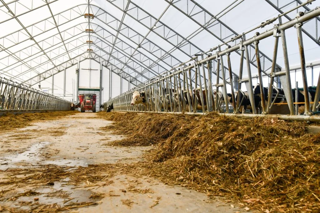 FERCA 100x180 Epic Dairy Barn Cheff Farm Solutions - Britespan Design the Fabric Barn Around Your Workflow